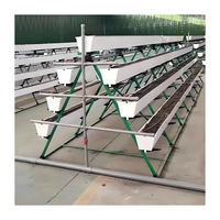 Bac de culture hydroponique en PVC plat sur mesure pour fraises, idéal pour l'agriculture en serre