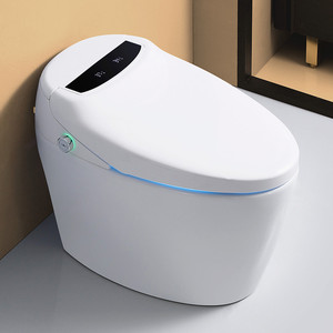 Современная Европейская сантехника, 110 В, умный туалет для ванной - Product Image 2