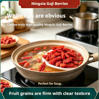 Authentieke Ningxia Wolfberry 500g in PE-zak, traditioneel kruidenfruit voor het zetten van thee en het maken van soep