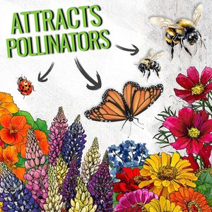 Chim Ruồi bướm trộn 23 đa dạng số lượng lớn 1 Ounce thụ phấn phong cách đơn giản thu hút hàng năm cho khu vườn không có chất độn - Product Image 4