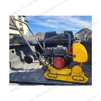 Compacteur puissant de plat vibrant d'essence de 600*500mm avec la force 30KN pour la construction