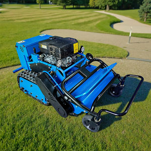 Tondeuse à gazon 4 temps à moteur motorisé Robot tondeuse à gazon agricole à vendre - Product Image 3