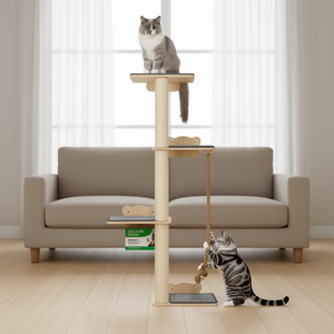 Arbre à chat en bois 4 niveaux, minimaliste, pour intérieur, écologique, emballé en carton - Product Image 2