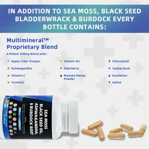 Conception gratuite OEM ODM de capsules véganes personnalisées de mousse de mer avec marque privée capsules de supplément à base de plantes huile de graines noires capsules de mousse de mer biologique
