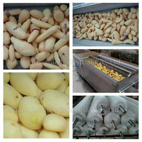 Automatische professionele roestvrijstalen fruit- en groentewasser, aardappelreiniger, -wasser en -schiller, hoge efficiëntie