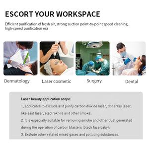SZJIJE 공장 230W 휴대용 외과용 레이저 미용 CO2 연기 제거기 - Product Image 6
