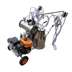 Máquina de Ordeño Individual de Alta Calidad para Vacas, Bomba de Vacío de Alta Eficiencia y Productividad para Granjas Lecheras, Incluye Motor de Alto Rendimiento - Product Image 5