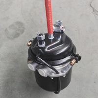 Ensemble de chambre de frein à ressort pneumatique 9253211600 T24/24DP T3030 T1624 T2024 pour système de freinage d'essieu de camion lourd et remorque MB 24V