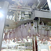Haute sécurité niveau en acier inoxydable abattage automatique abattoir poulet abattage Machine tuer cône volaille