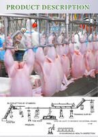 KBT Petits et grands poulets Dinde Abattage Traitement Abattage Ligne de traitement Équipement Volaille Poulet Canard Oie
