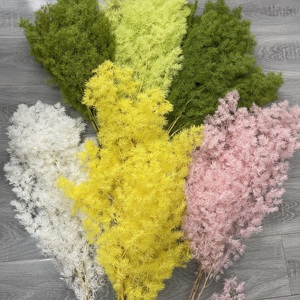 Vente en gros de fleurs et plantes naturelles préservées, durables, 3-5 ans, immortelles, tiges de <span class=keywords><strong>fougère</strong></span> Ming préservées pour les arrangements de Noël - Product Image 6