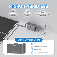 Solution ESS résidentielle personnalisée Deye, batteries de stockage au lithium-ion rechargeables Lifepo4 solaires