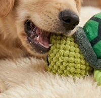 Hundespielzeug, Welpen-Kauspielzeug, Robustes Schildkröten-Spielzeug ohne Füllung für Starke Kauer, für Kleine, Mittlere und Große Hunde