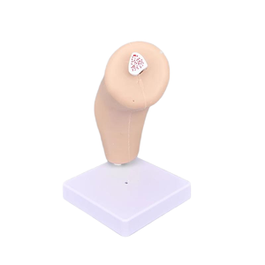 Simulateur d'arthroscopie portable 1:1 en silicone pour la formation en sciences médicales - Product Image 4