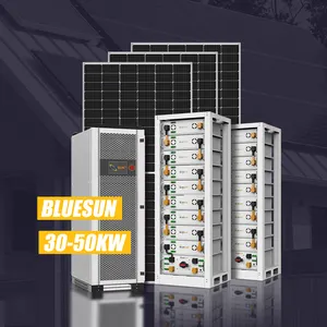 Bluesun 30KW 50KW 100KW 1MW 태양 에너지 저장 시스템 50KW 100KW 공장용 하이브리드 태양 에너지 시스템