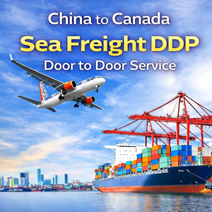 Agent d'expédition maritime Chine-Canada DDP porte-à-porte, <span class=keywords><strong>service</strong></span> LCL avec assistance 24h/24 et 7j/7 et assurance - Product Image 2
