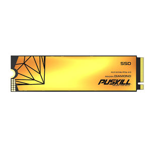 Puskill 5000ประสิทธิภาพสูง M.2เมกะไบต์/วินาที NVMe SSD 128GB/256GB/512GB/1 tb/ 2TB - Product Image 2