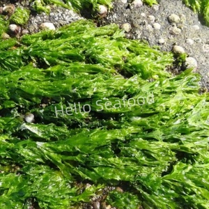 Copos de algas verdes secos puros sin sabor adecuados para el procesamiento de polvo - Product Image 5