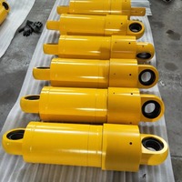 Vérification de la résistance à la pression par peinture époxy pour système d'extension de flèche de grue montée sur camion, vérification de la résistance à la pression du vérin hydraulique de levage