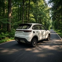 Véhicule électrique compact de luxe en gros, SUV à longue autonomie, 4 roues motrices, véhicule à énergie nouvelle pour adultes, idéal pour les trajets urbains