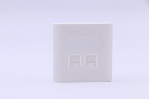 Industrielle 2-Port-Telekommunikationsabdeckplatte Werkzeug freie IK10 IP55-Kategorie für Nenn teile - Product Image 5