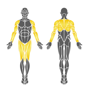 Asiento de balancín con mango de 89mm, pieza de repuesto esencial para muebles de balancín - Product Image 3
