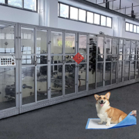 Machine d'occasion pour la fabrication de tapis pour animaux de compagnie, ligne de production économique de tapis d'apprentissage pour chiots, vente en gros