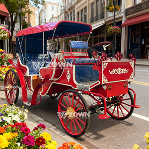 Venta Directa de Fábrica: Carruaje Eléctrico para Caballos, Carruaje Dorado para Bodas Reales y Turismo - Product Image 1