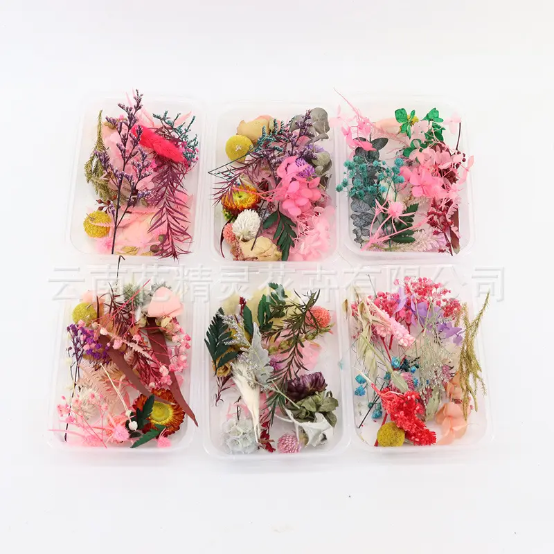 CHASEWIN kuru preslenmiş tırnak çiçek karışık paket preslenmiş doğal kurutulmuş çiçekler kurutulmuş çiçek reçine sanat
