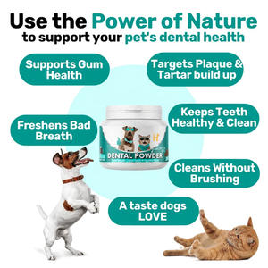 Fábrica de Suplementos <span class=keywords><strong>para</strong></span> Mascotas, OEM ODM, Polvo Limpiador Dental <span class=keywords><strong>para</strong></span> <span class=keywords><strong>Perros</strong></span>, <span class=keywords><strong>el</strong></span> <span class=keywords><strong>Mejor</strong></span> Eliminador de Placa <span class=keywords><strong>para</strong></span> <span class=keywords><strong>Perros</strong></span> de Todas las Razas - Product Image 5