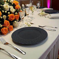 Assiette élégante classique faite à la main en plastique PP de luxe de 13 pouces, couleur personnalisée, réutilisable, pour mariage, maison, camping, salade, dessert, décoration
