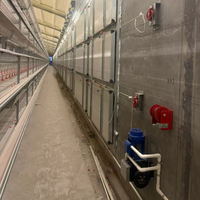 Nouvelle cage à poulets de type H en acier galvanisé, équipement d'élevage commercial, grande capacité, cages chauffées, garantie de 2 ans