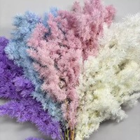 Liviflo Cadeau pour invités Mariage Plante naturelle véritable Fleur stabilisée Pin de Penglai - Décoration Fête des Mères, Saint-Valentin, Noël et Pâques