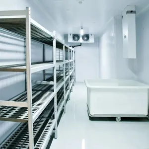 Caminhada interna comercial aprovada pela CE em congeladores com evaporador da unidade de condensação
