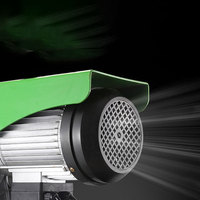 Mini polipasto de cuerda de alambre eléctrico, grúa inalámbrica con control remoto, 2 unidades