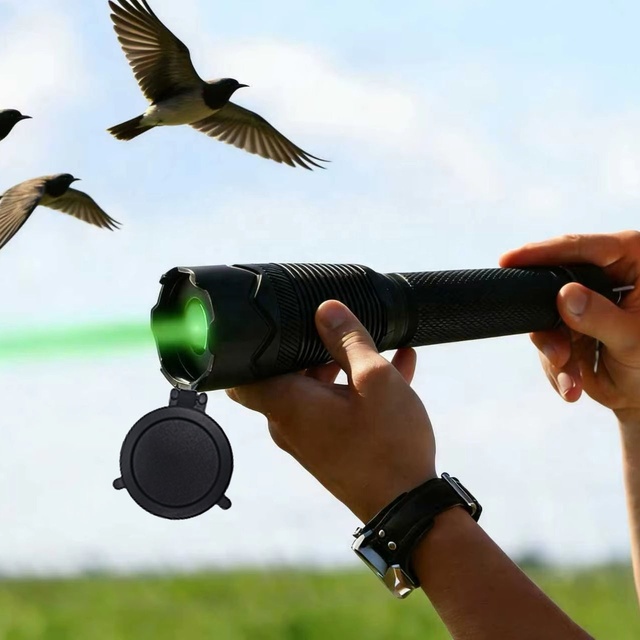 Outdoor New 1W Highly Effective Deter Birds Laser Handheld Repelller Flash Bird Scare Devices for Agriculture