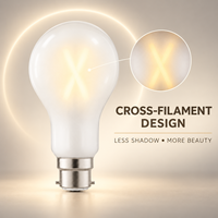Ampoule à filament LED directe usine B22 Classe C 3000LM Verre dépoli Filament croisé 230V AC A70 Blanc chaud Certifiée CE UKCA