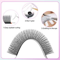 Y-förmige Wimpern 1D 2D Wimpernverlängerungen 12 Reihen Mix 8-12/8-15mm Braun/Schwarz Premium Künstliche Wimpern Netz Kreuzwimpern