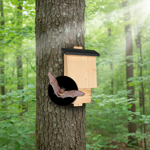 Boîte à chauves-souris en bois imperméable, habitat sûr pour les chauves-souris - Product Image 6