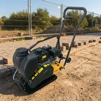 Vibrateur de plaque à essence, Compacteur d'asphalte pour routes municipales, Machine de compactage de sol portative