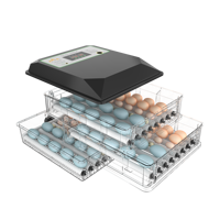 Incubateur automatique pour 64 œufs, incubateur pour poulets, oiseaux, oies, canards, cailles
