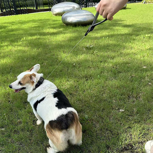 Cuerda de tracción retráctil para mascotas al aire libre usable extensión automática contracción tracción <span class=keywords><strong>collar</strong></span> de perro reflectante - Product Image 2