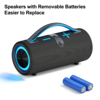 Enceinte Bluetooth 30W avec batterie remplaçable, enceinte Bluetooth sans fil portable, caisson de basses extérieur, haut-parleur puissant