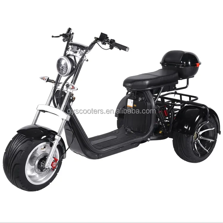 Manufacture direct sell and buy electric scooter with golf basket 1000w 2000w 3 wheel electric scooter