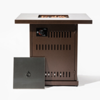 Bol de feu moderne en métal 40000BTU à gaz propane pour foyer intérieur/extérieur pour patio et fêtes de jardin en acier