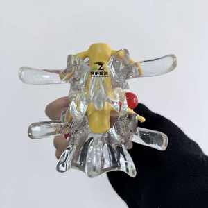 Modelo de Demostración de Extrusión de Columna Vertebral y Médula Espinal, Modelo de Enseñanza Médica Humana, Bola de Burbuja de Médula Espinal - Product Image 3