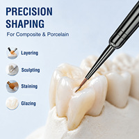 Pincel 100% Kolinsky Sable para Laboratorio Dental, Pincel Metálico para Prótesis Dentales, Pincel para Modelado Dental, para Resina y Composite 000/00/1/2
