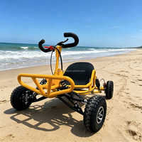 Nuevo Kart a Pedales con Motor de Gasolina de 80cc y Dos Tiempos, Todoterreno, UTV, para Carreras al Aire Libre, Derrapes en la Playa, Velocidad Máxima de 35 km/h