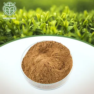 Nanqiao Organic Natural Camellia Sinensis Extract With Tea Polyphenol 50% 60% Relieve Summer Heat Green Tea Extract
