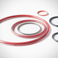 Joint torique cylindrique en silicone encapsulé PFA FEP FKM de qualité alimentaire haute température